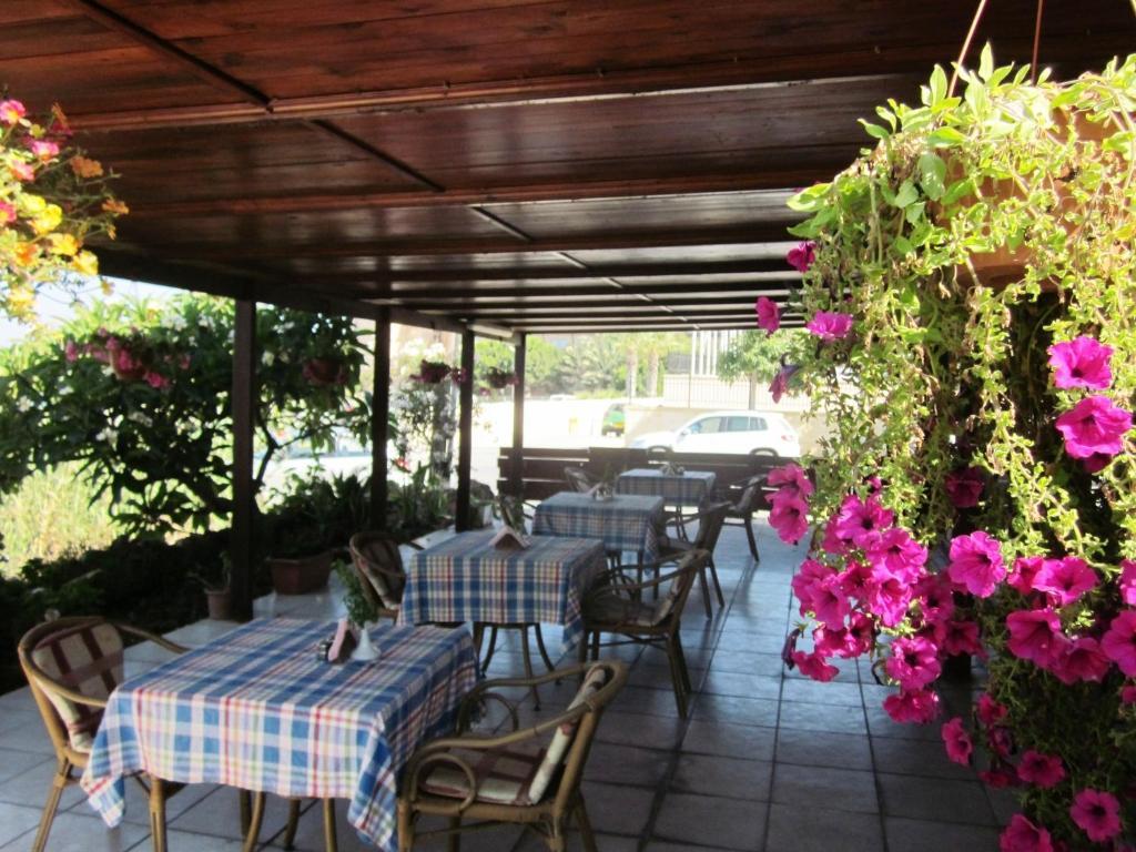 Georgia Pafos