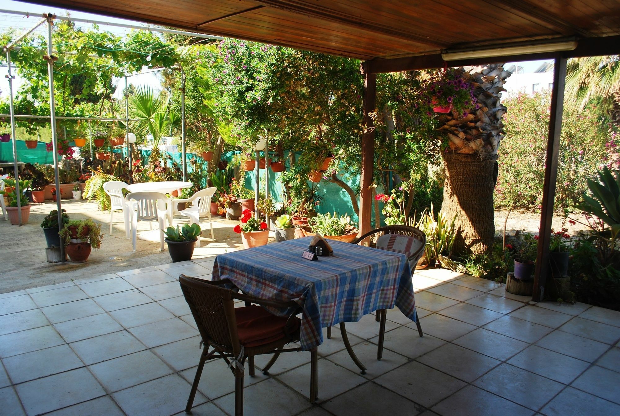 Georgia Hotel apartamentowy Pafos